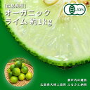 楽天広島県大崎上島町【ふるさと納税】9月~10月発送予定 中原観光農園 オーガニックライム 約1kg 広島県 大崎上島町 瀬戸内 離島 国産 果物 フルーツ ギフト 送料無料 産地直送