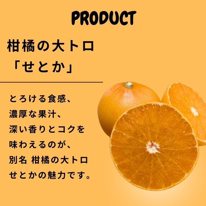 【ふるさと納税】2月発送 Farm I-Faveur せとか 約5kg (20個程度) 果汁 たっぷり 薄皮 ハウス 広島県 大崎上島町 瀬戸内 離島 国産 濃厚 柑橘 みかん 果物 フルーツ 贈答用 ギフト 送料無料 産地直送