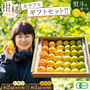 【ふるさと納税】島の宝石箱!瀬戸内 旬の柑橘カラフルギフトセット ( レモン 約2kg /みかん 約1kg ) 11月〜12月発送 果物 国産 せとうち 広島 ...
