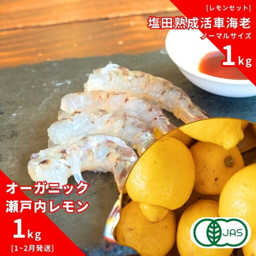 【ふるさと納税】オーガニック瀬戸内レモン 1kg(1~2月発送) / 塩田熟成活車海老 ノーマルサイズ 1kg(11~2月) オーガニック 有機レモン 有機JAS 果汁100% レモン えび エビ エビフライ 晩酌 国産 瀬戸内 濃厚 免疫力向上 健康 ビタミンC クエン酸 抗酸化 ソーダ 炭酸水 【ふるさと納税】オーガニック瀬戸内レモン 1kg(1~2月発送) / 塩田熟成活車海老 ノーマルサイズ 1kg(11~2月) オーガニック 有機レモン 有機JAS 果汁100% レモン えび エビ エビフライ 晩酌 国産 瀬戸内 濃厚 免疫力向上 健康 ビタミンC クエン酸 抗酸化 ソーダ 炭酸水