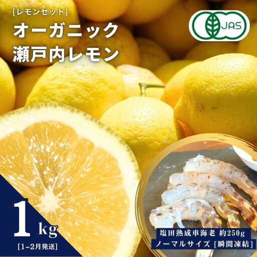 【ふるさと納税】レモンセット オーガニック瀬戸内レモン 1kg(1~2月発送) / 塩田熟成活車海老 250g ノーマルサイズ オーガニック 有機レモン 有機JAS レモン えび エビ エビフライ 国産 瀬戸内 濃厚 甘さ控えめ 免疫力向上 健康 ビタミンC クエン酸 抗酸化 ソーダ 炭酸水 【ふるさと納税】レモンセット オーガニック瀬戸内レモン 1kg(1~2月発送) / 塩田熟成活車海老 250g ノーマルサイズ オーガニック 有機レモン 有機JAS レモン えび エビ エビフライ 国産 瀬戸内 濃厚 甘さ控えめ 免疫力向上 健康 ビタミンC クエン酸 抗酸化 ソーダ 炭酸水
