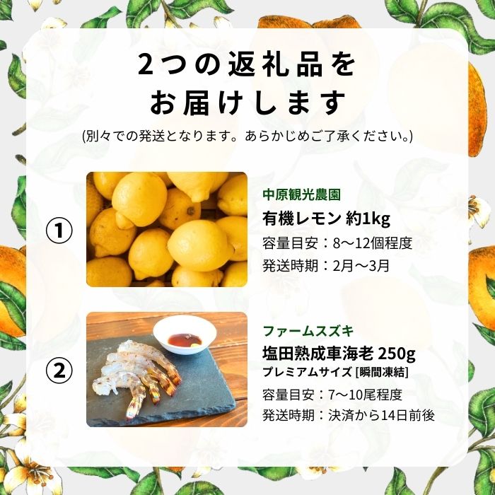 【ふるさと納税】レモンセット オーガニック瀬戸内レモン 1kg(2~3月発送) / 塩田熟成活車海老 250g オーガニック 有機レモン 有機JAS 果汁100% レモン えび エビ エビフライ 晩酌 国産 瀬戸内 濃厚 甘さ控えめ 免疫力向上 健康 ビタミンC クエン酸 抗酸化 ソーダ 炭酸水