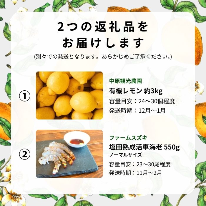 【送料無料】フルーツティアラ　アイス　マーガレット　FT−56M　FT−56M【ギフト館】