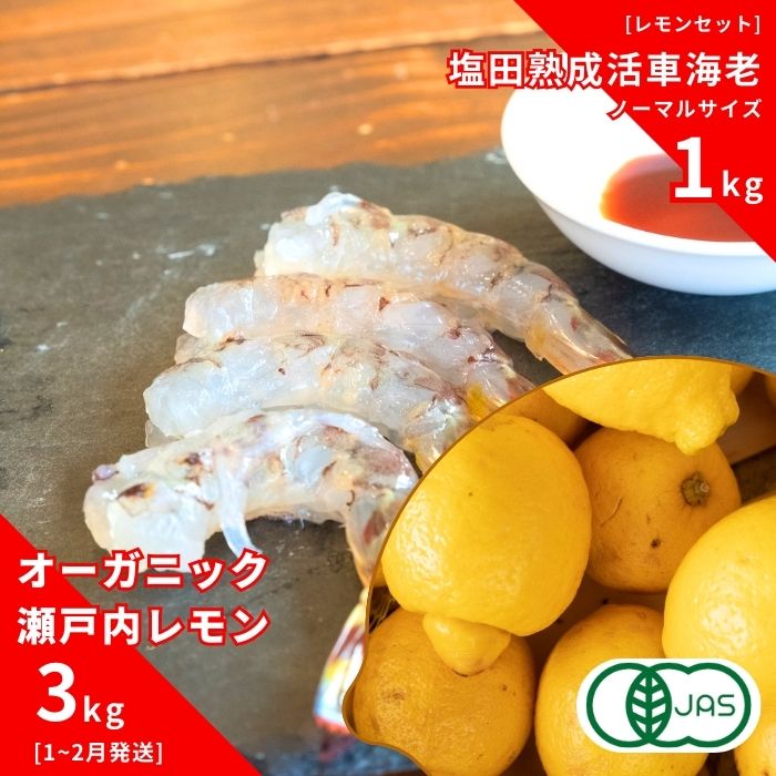 【ふるさと納税】オーガニック瀬戸内レモン 3kg(1~2月発送) / 塩田熟成活車海老 ノーマルサイズ 1kg(11~2月) オーガニック 有機レモン 有機JAS 果汁100% レモン えび エビ エビフライ 晩酌 国産 瀬戸内 濃厚 免疫力向上 健康 ビタミンC クエン酸 抗酸化 ソーダ 炭酸水