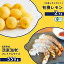 【ふるさと納税】広島有機レモン 2kg(12~1月発送) / 塩田熟成活車海老 プレミアムサイズ 550g(11~2月発送) オーガニック 有機栽培 有機JAS れもん えび エビ エビフライ 晩酌 国産 瀬戸内 濃厚 甘さ控えめ 免疫力向上 健康 ビタミンC クエン酸 抗酸化 ソーダ 炭酸水(4)