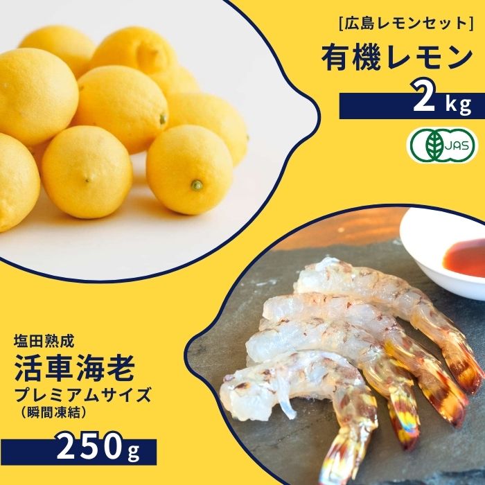 国産レモンのふるさと納税
