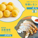 【ふるさと納税】広島有機レモン 2kg(12~1月発送) / 塩田熟成活車海老 ノーマルサイズ 350g(11~2月発送) オーガニック 有機栽培 有機JAS ...