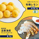 【ふるさと納税】広島有機レモン 10kg(12~1月発送) / 塩田熟成活車海老 プレミアムサイズ 1kg(11~2月発送) オーガニック 有機栽培 有機JAS...