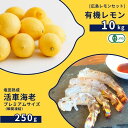 【ふるさと納税】広島有機レモン 10kg(12~1月発送) / 塩田熟成活車海老 プレミアムサイズ 250g 瞬間凍結 オーガニック 有機栽培 有機JAS れも...