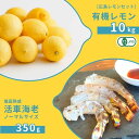【ふるさと納税】広島有機レモン 10kg(12~1月発送) / 塩田熟成活車海老 ノーマルサイズ 350g(11~2月発送) オーガニック 有機栽培 有機JAS れもん えび エビ エビフライ 晩酌 国産 瀬戸内 濃厚 甘さ控えめ 免疫力向上 健康 ビタミンC クエン酸 抗酸化 ソーダ 炭酸水