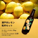 【ふるさと納税】オーガニックレモン 1kg(12~1月発送) / 大崎上島のクラフトビール Session IPA Lemon 12本 オーガニック 有機レモン...
