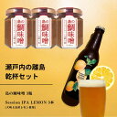 【ふるさと納税】島の鯛味噌 3本セット / 大崎上島のクラフトビール Session IPA Lemon 3本 おかず味噌 食べる味噌 レモン 檸檬 瀬戸内レモン クラフトビール 地ビール 爽快 ホップ 晩酌 国産 瀬戸内 広島 離島 セット
