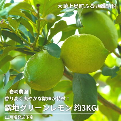 11月頃発送予定 岩崎農園 露地グリーンレモン 約3kg 広島県 大崎上島町 瀬戸内 離島 国産 レモン 皮ごと 丸ごと 檸檬 送料無料