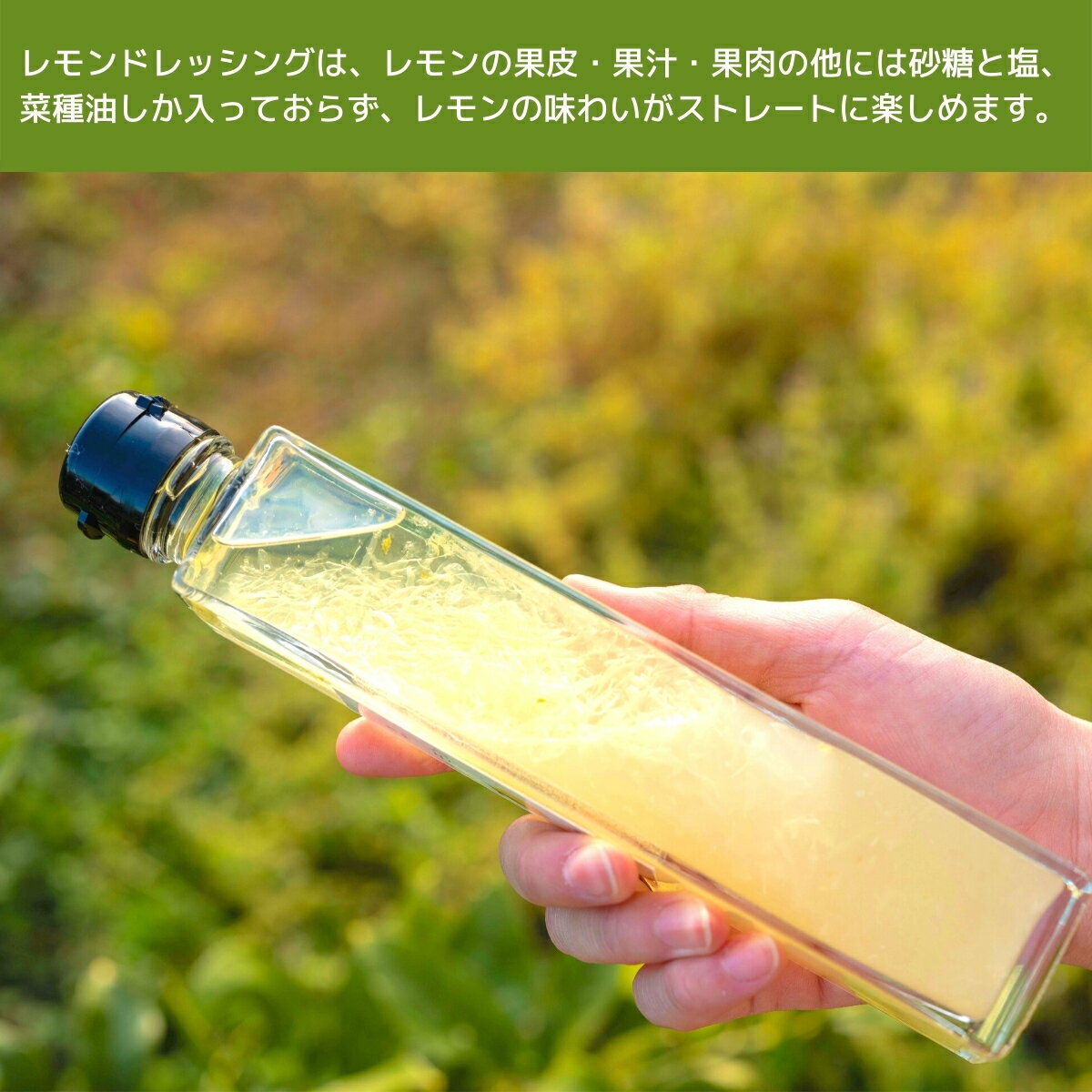 【ふるさと納税】1~3月発送予定 岩崎農園 レモンドレッシング 200mL レモン 約1kg 広島県 大崎上島町 瀬戸内 離島 国産 レモン 檸檬 ワックス防腐剤不使用 皮ごと 丸ごと ギフト 贈り物 送料無料