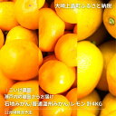 12月頃発送予定 こいけ農園 石地みかん 普通温州みかん レモン 詰め合わせ 約4kg 広島県 大崎上島町 瀬戸内 離島 濃厚 果物 フルーツ 柑橘 みかん レモン 檸檬 送料無料 産地直送