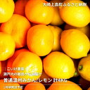 【ふるさと納税】1月頃発送予定 こいけ農園 普通温州みかん レモン 詰め合わせ 約4kg 広島県 大崎上島町 瀬戸内 離島 濃厚 完熟 果物 フルーツ 柑橘 みかん レモン 檸檬 送料無料 産地直送