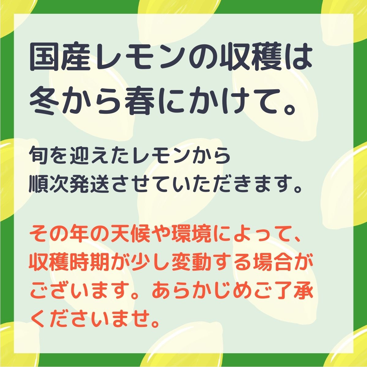 【ふるさと納税】12~3月発送予定 越田農園 レモン 約3kg 広島県 大崎上島町 瀬戸内 離島 国産 皮ごと 丸ごと 檸檬 露地栽培 ギフト 送料無料 産地直送