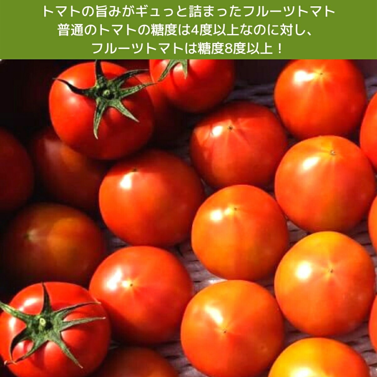 【ふるさと納税】3~6月発送予定 越田農園 フルーツトマト 約3kg 広島県 大崎上島町 瀬戸内 離島 国産 甘い 高糖度 ギフト 送料無料 産地直送