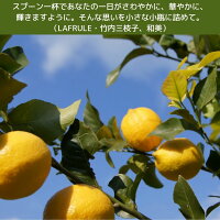 LAFRULE