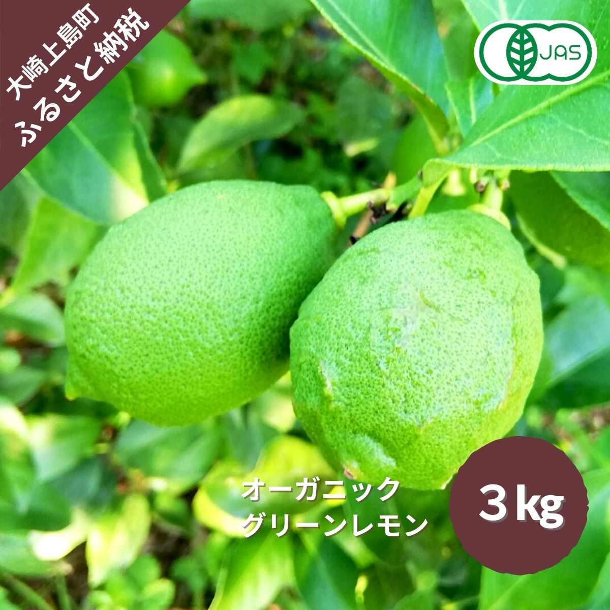 レモンの返礼品 | ふるさと納税バイブル レモンの返礼品 | ふるさと納税バイブル