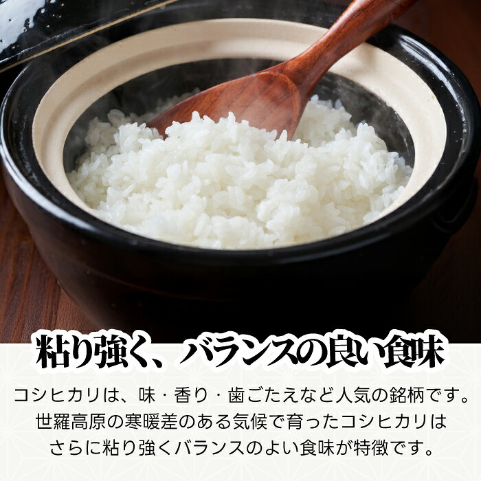 【ふるさと納税】コシヒカリ5kg 令和8年産 米 白米 ごはん 精米 お米 ご飯 おにぎり お弁当 こしひかり 世羅米 世羅産 世羅町産 A041-17 f344621-sera-10000196 広島県世羅町 サンプル画像2