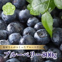 「世羅の名物となる商品をつくり、その商品を通して地域の魅力をたくさんの方に知ってもらい、町を活性化させたい！」 そんな熱き想いとともに、Sandy's Farmのブルーベリーは生まれました。 世羅町で花屋を営みながら培った養液栽培の技術を注ぎ、丁寧な摘果を心がけ、粒が大きく食べ応えのある果実になるよう工夫を重ねています。 摘み取りの際には一粒一粒、ワンピックで採っていくため、果実を守るためのブルームが残り、採れたての鮮度を保ったままパック詰めすることができます。 そのまま食べるのはもちろん、パンケーキやヨーグルト、アイスクリームにのせたり、スムージーにしても美味しくいただけます。 返礼品説明 ■名称 ブルーベリー ■産地名 広島県世羅町 ■内容量 800g（100g×8パック） ■賞味期限 10日 ■配送方法/その他 冷蔵 ※2024年6月中旬以降順次発送 ■配送元 Sandy's Farm ■注意事項 ・天候や生育状況により配送時期が前後する可能性がございます。 ・約30品種のブルーベリーの中から、その時期に合った品種をお届けします。 ・ご自宅用ブルーベリーになります。贈答用ではございませんのであらかじめご了承下さい。 ・ブルーベリーは追熟しませんので、完熟したものを詰めています。そのため、配送時の揺れや傾きにより実が柔らかくなり、果汁が漏れる場合があります。 ・細心の注意を払って収穫し、パック詰めしておりますが、稀にブルーベリーの小さな枝や葉が混ざることがございます。 ・一度洗ってからお召し上がりください。 ・商品到着後は、冷蔵庫で保存し、お早めにお召し上がりください。 ※画像はイメージです。 ・ふるさと納税よくある質問はこちら ・寄付申込みのキャンセル、返礼品の変更・返品はできません。あらかじめご了承ください。「ふるさと納税」寄付金は、下記の事業を推進する資金として活用してまいります。 寄付を希望される皆さまの想いでお選びください。 (1)自治活動、地域環境の保全整備及び定住に関する事業 (2)農業、観光、商工業等の振興に関する事業 (3)教育、文化、芸術の振興に関する事業 (4)子育て、福祉、保健及び医療に関する事業 特段のご希望がなければ、町政全般に活用いたします。