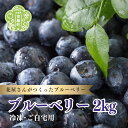 17位! 口コミ数「0件」評価「0」冷凍ブルーベリー2kg【ご自宅用】 ブルーベリー フルーツ 果物 くだもの 冷凍 世羅 A062-02