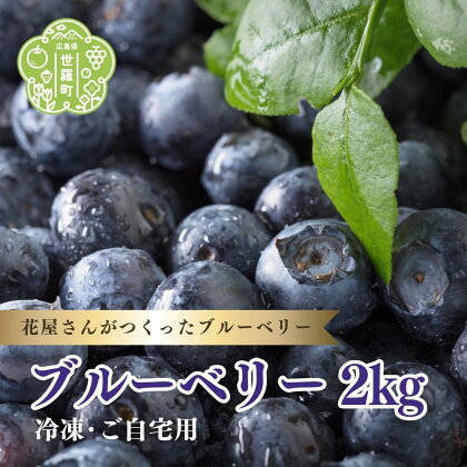 冷凍ブルーベリー2kg【ご自宅用】 ブルーベリー フルーツ 果物 くだもの 冷凍 世羅 A062-02