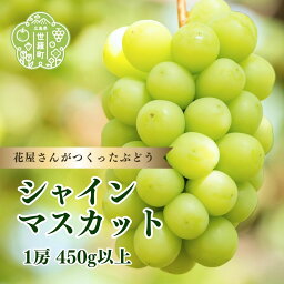 【ふるさと納税】シャインマスカット1房(450g以上)【先行予約・数量限定】ぶどう ブドウ シャインマスカット フルーツ 果物 くだもの 産地直送 新鮮 世羅【2024年8月上旬以降順次発送】A062-05