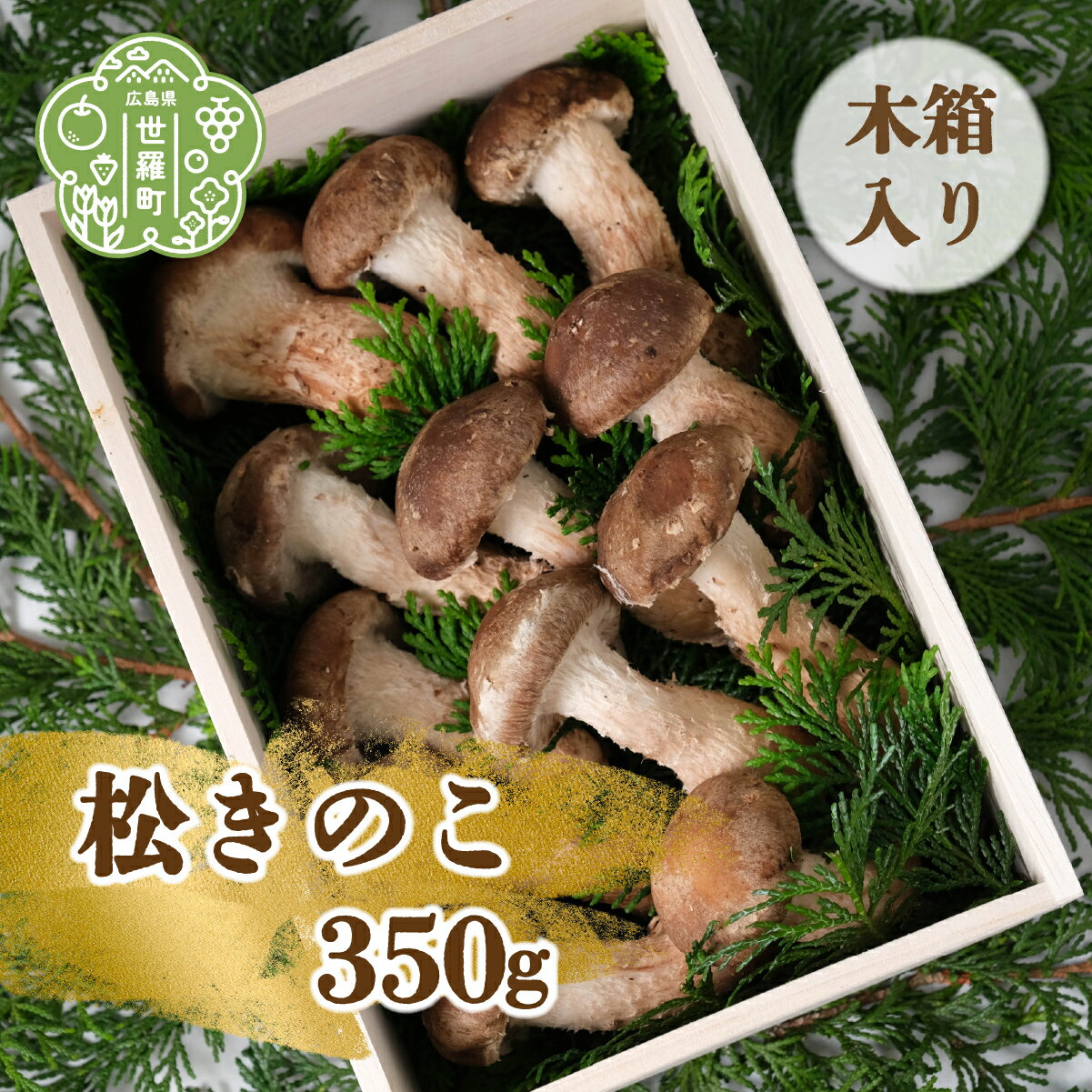 【ふるさと納税】松きのこ 350g(木箱入り) 贈答用 松茸そっくりの姿にほのかな香りとシャキシャキ食感 世羅 A003-02