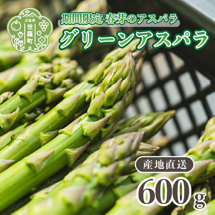 アスパラガス 600g 春芽[先行予約・期間限定]グリーンアスパラ 野菜 産地直送 新鮮 JGAP認証農場 世羅 うづと[2024年3月下旬以降順次発送]A013-01