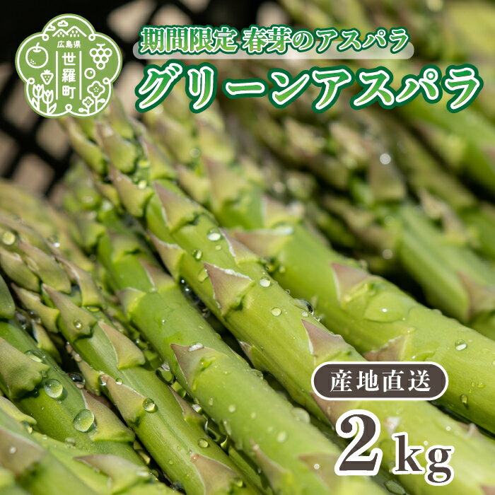 アスパラガス 2kg 春芽【先行予約・期間限定】グリーンアスパラ 野菜 産地直送 新鮮 JGAP認証農場 世羅 うづと【2024年3月下旬以降順次発送】A013-03