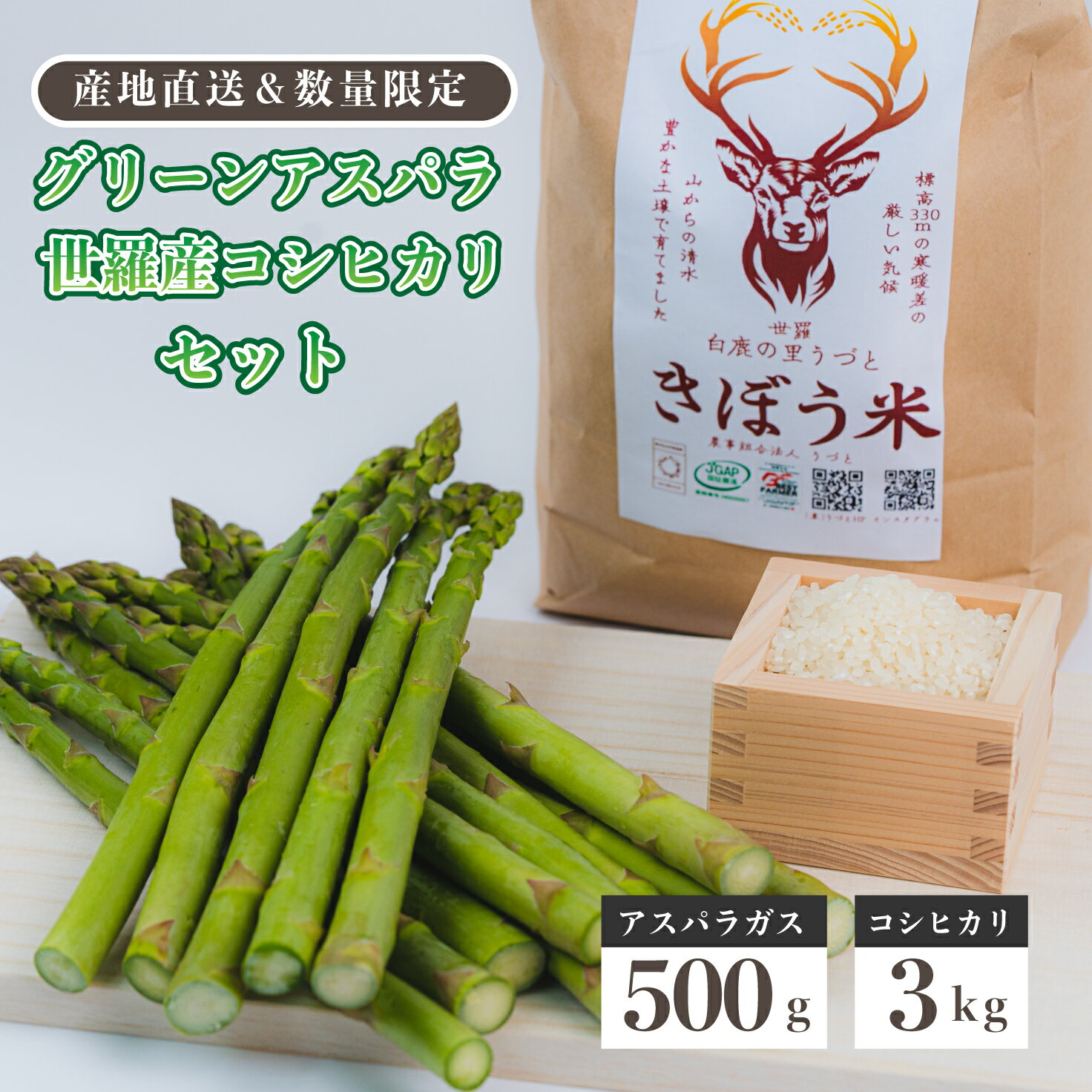 【ふるさと納税】限定30セット! きぼう米 3kg＆アスパラガス 500g コシヒカリ 米 グリーンアスパラ 野菜 産地直送 新鮮 JGAP認証農場 A013-04･･･