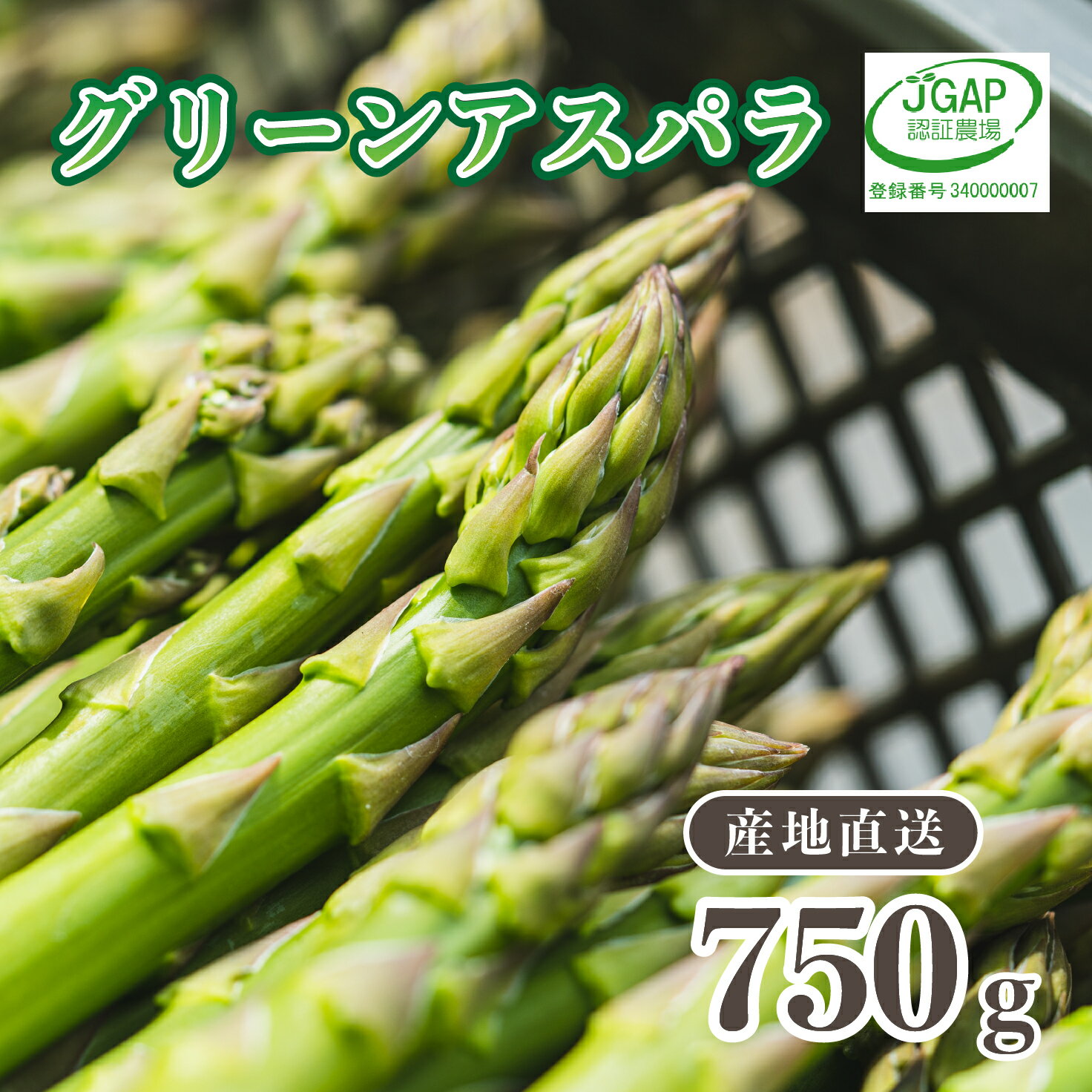 市場 ふるさと納税 夏芽アスパラガス 野菜 けいちゃん農園 700g