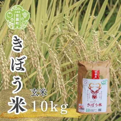 【令和5年産】きぼう米(コシヒカリ) 玄米 10kg お米 ご飯 おにぎり 産地直送 JGAP認証農場 A013-08