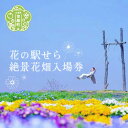 【ふるさと納税】花の駅せら 絶景花畑入場券(2枚)ネモフィラ ビオラ ゆり バーベナ コスモス 観光 農園 A016-07