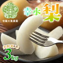 【ふるさと納税】幸水梨 3kg(美粧箱入)【先行予約・数量限定】世羅 大豊農園 幸水 梨 せら なし フルーツ 果物 くだもの 産地直送 新鮮 贈答 進物【2025年8月下旬以降順次発送】A019-02