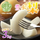 【ふるさと納税】豊水梨 3kg(美粧箱入)【先行予約・数量限定】世羅 大豊農園 豊水 梨 せら なし フルーツ 果物 くだもの 産地直送 新鮮 贈答 進物【2025年9月中旬以降順次発送】A019-03