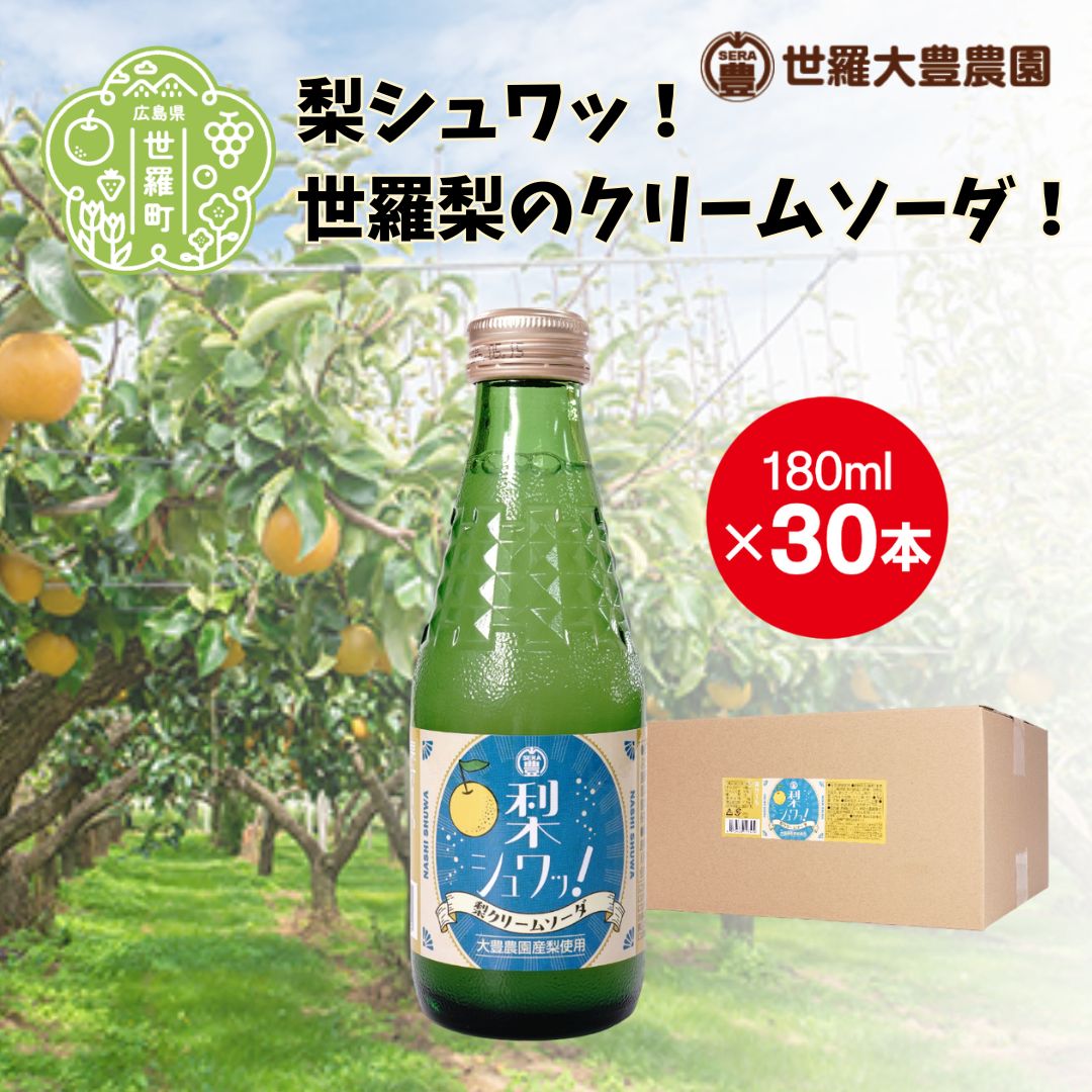 ڤդ뤵ǼǡáΥ꡼ॽ  ʤ ꡼ॽ 塼 ú     A019-06