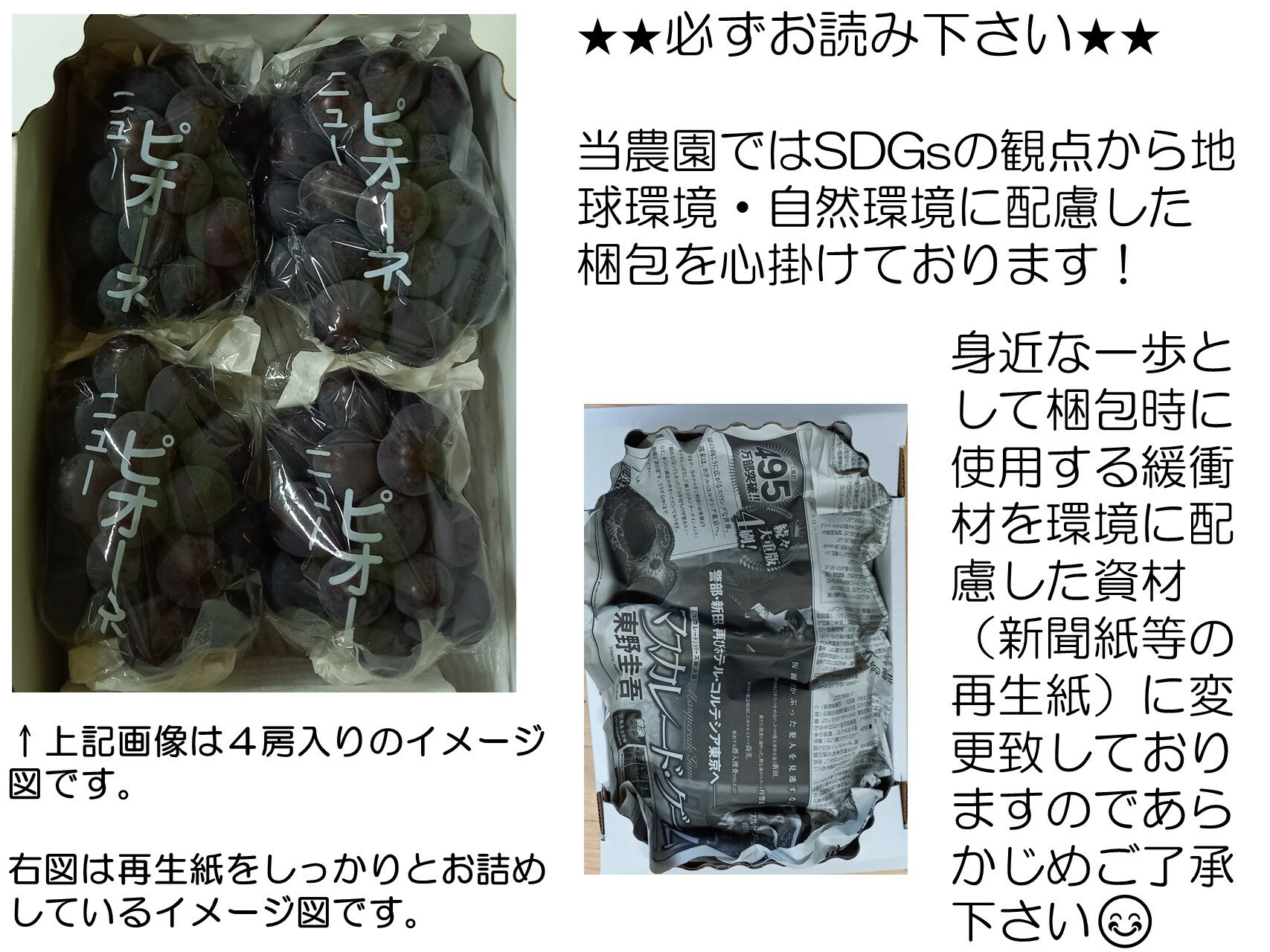 【ふるさと納税】 ≪訳あり≫ 青森県産 りんご 「サンふじ」 約4kg（16～20玉） 【カネテ青果】 南部町営卸売市場 直送 青森りんご リンゴ 林檎 アップル あおもり 青森県 南部町 三戸 果物 くだもの フルーツ F21U-399