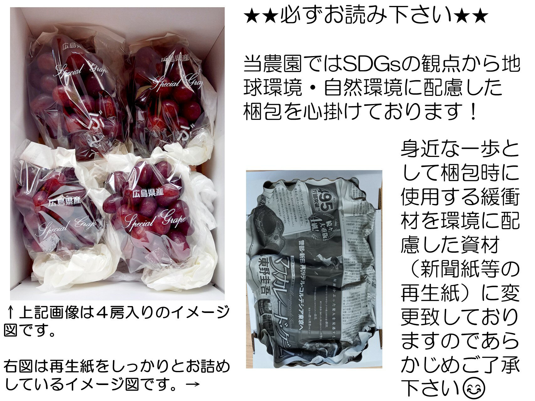 【ふるさと納税】皮ごと食べられるクイーンセブン 約800g(2～4房)【先行予約・数量限定】カナダ人農園主 ぶどう ブドウ マスカット フルーツ 果物 くだもの 産地直送 世羅 SDGs【2024年8月下旬以降順次発送】A021-06