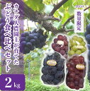 13位! 口コミ数「1件」評価「5」ぶどう食べ比べセット 約2kg【先行予約・数量限定】カナダ人農園主 ぶどう ブドウ マスカット フルーツ 果物 くだもの 産地直送 世羅 S･･･ 