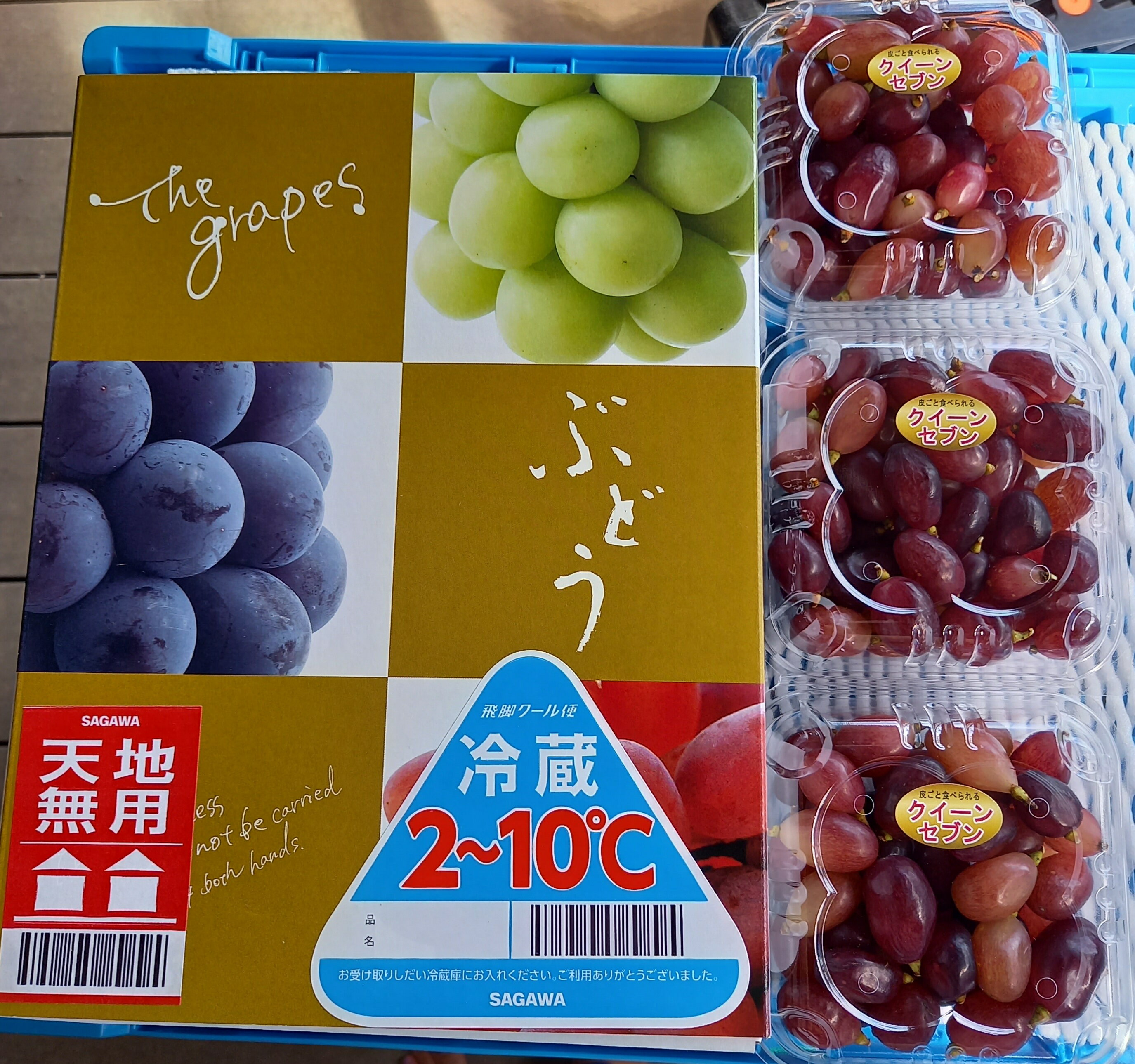 【ふるさと納税】クイーンセブン 粒パック 約900g(3パック)【数量限定】カナダ人農園主 ぶどう ブドウ クイーンセブン フルーツ 果物 くだもの 産地直送 世羅 SDGs【2024年8月下旬以降順次発送】A021-15