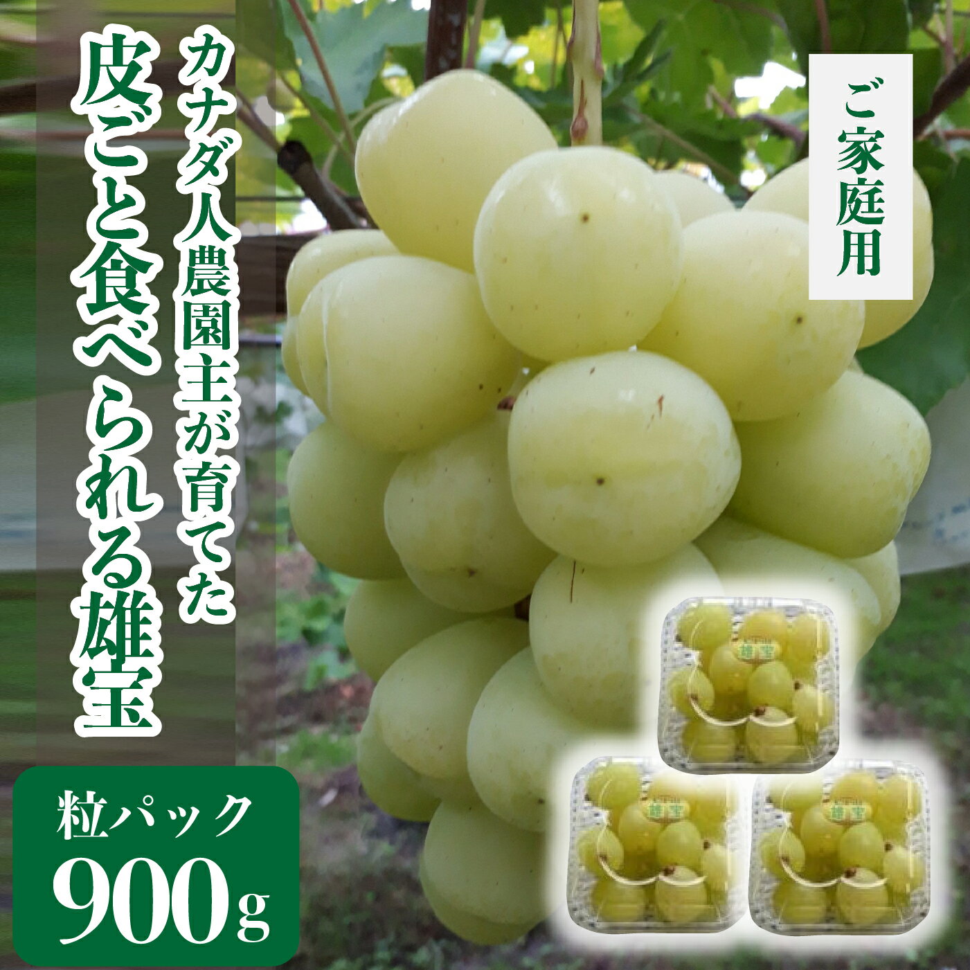 雄宝(ゆうほう) 粒パック約900kg(ご家庭用)【先行予約・数量限定】カナダ人農園主 ぶどう ブドウ フルーツ 果物 くだもの 産地直送 世羅 SDGs【2024年10月上旬頃より順次発送】A021-19