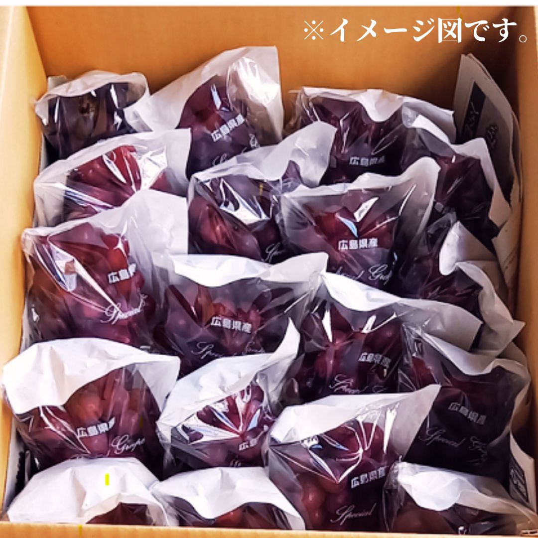 【ふるさと納税】皮ごと食べられるクイーンセブン 約5kg【先行予約・数量限定】カナダ人農園主 ぶどう ブドウ マスカット クイーンセブン フルーツ 果物 くだもの 産地直送 世羅 ラピアビンヤード【2025年8月下旬以降順次発送】A021-25