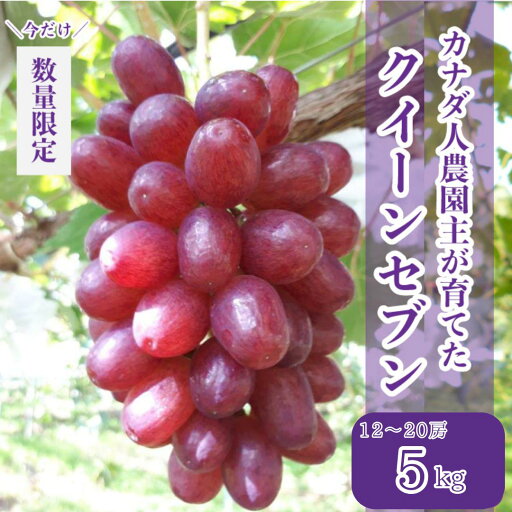 【ふるさと納税】皮ごと食べられるクイーンセブン 約5kg【先行予約・数量限定】カナダ人農園主 ぶどう ブドウ マスカット クイーンセブン フルーツ 果物 くだもの 産地直送 世羅 ラピアビンヤード【2025年8月下旬以降順次発送】A021-25 【ふるさと納税】皮ごと食べられるクイーンセブン 約5kg【先行予約・数量限定】カナダ人農園主 ぶどう ブドウ マスカット クイーンセブン フルーツ 果物 くだもの 産地直送 世羅 ラピアビンヤード【2025年8月下旬以降順次発送】A021-25