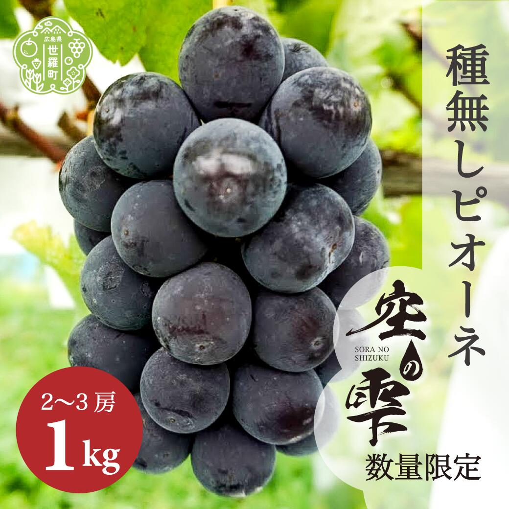 種無しピオーネ 約1kg(2～3房)【ご家庭用・先行予約】ぶどう ブドウ フルーツ 果物 くだもの 産地直送 世羅【2024年9月上旬以降順次発送】A025-01