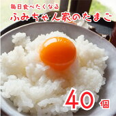 【ふるさと納税】世羅高原新鮮野菜詰合わせセット（10品程度）