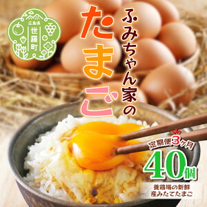 【ふるさと納税】【定期便3カ月】ふみちゃん家のたまご 40個入《合計3回発送》広島県 卵 たまご タマゴ 玉子 新鮮 世羅 生みたて卵 卵かけごはん だし巻き スイーツ 定期便 TKG A027-05