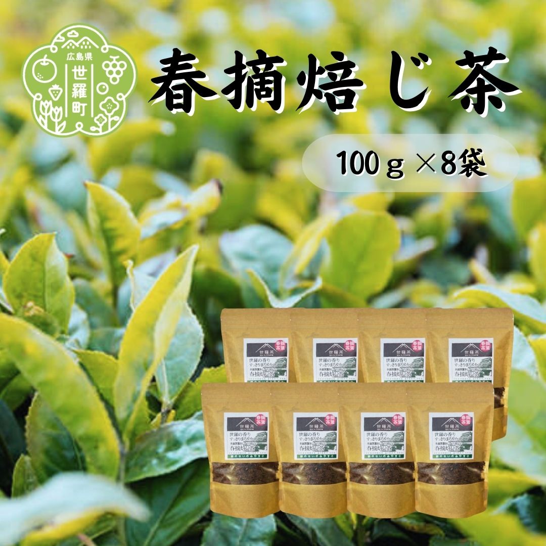 春摘焙じ茶 100g×8袋 世羅茶 ほうじ茶 お茶 茶葉 健康茶 A030-09